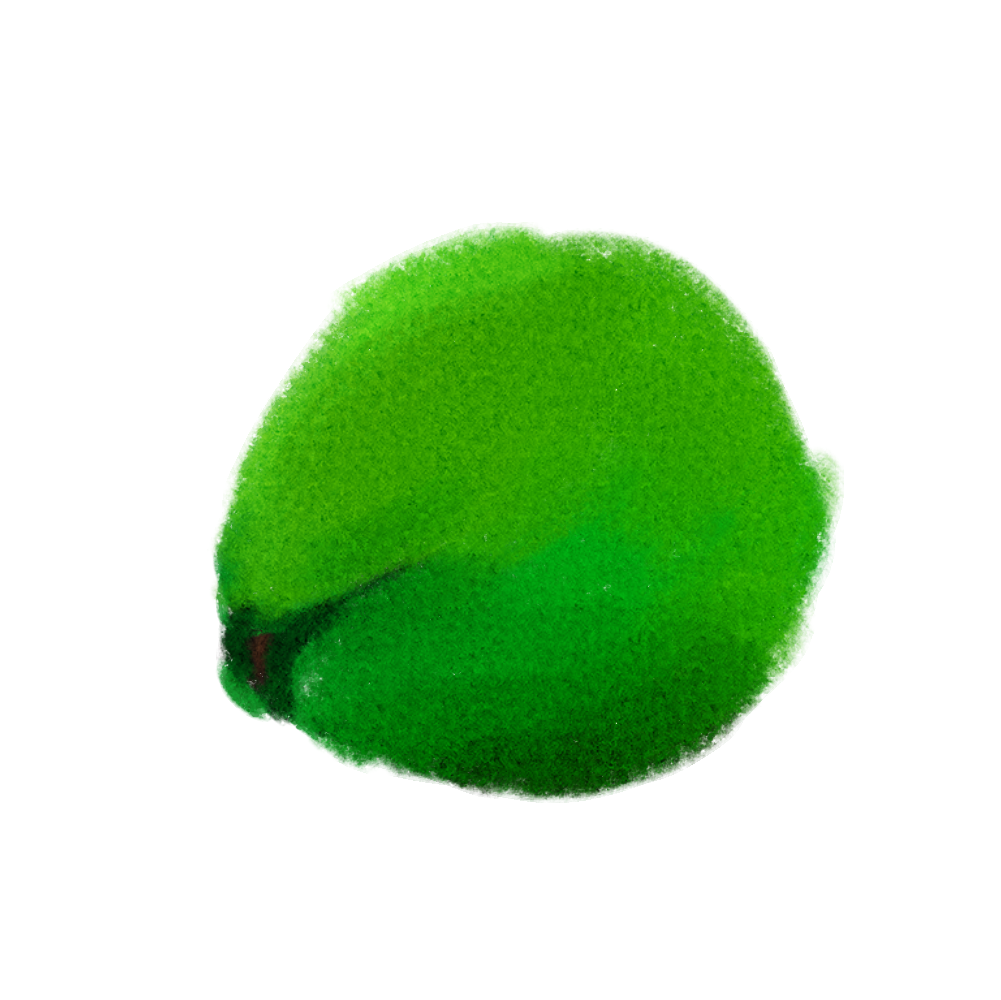 a green yellowish coconut with a brown tip, styled from animal crossing